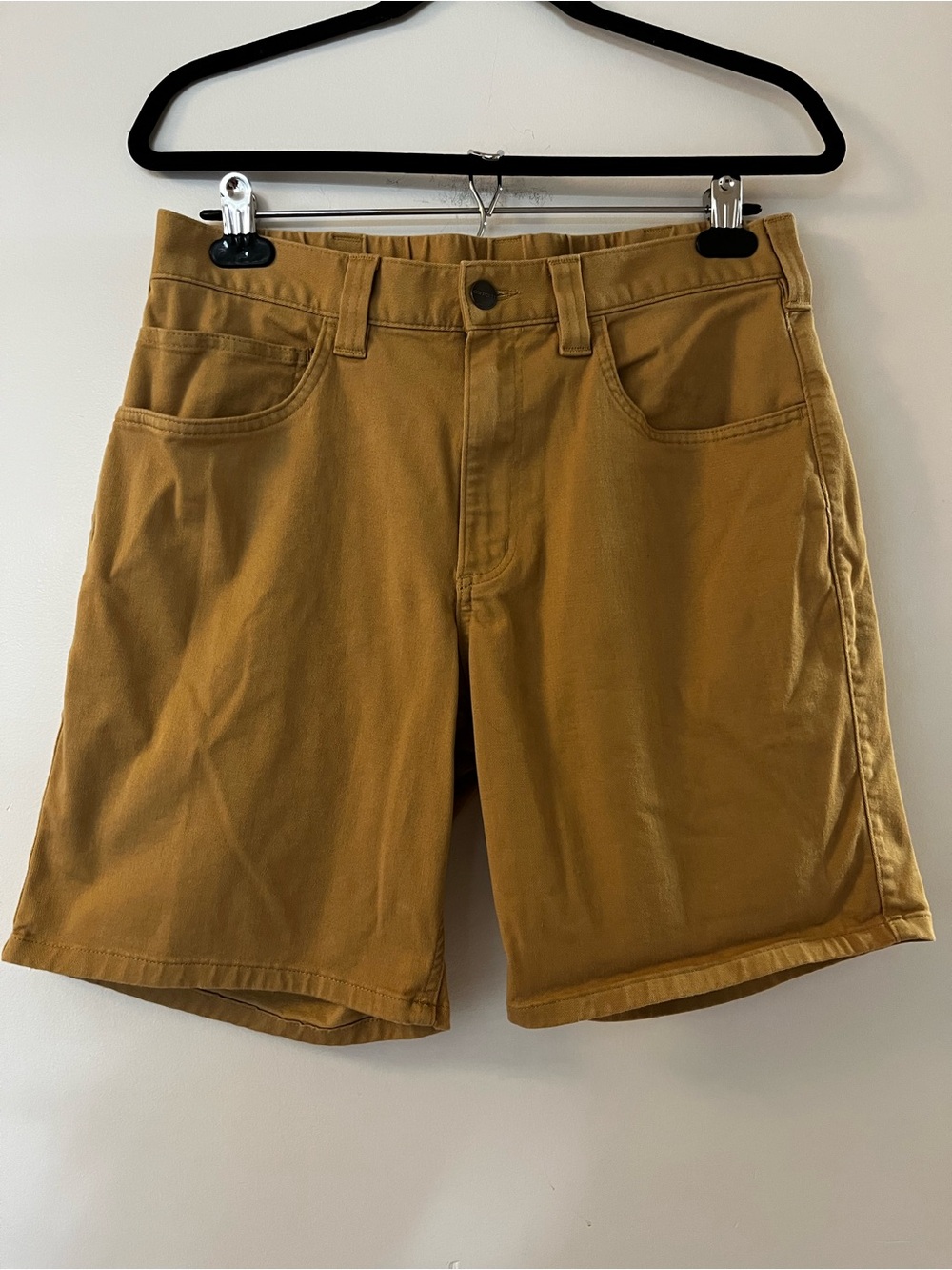 Carhartt | Shorts